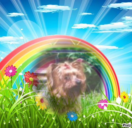 luzcas1106 uploaded   86  day/s  ago