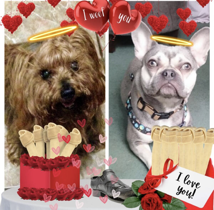 luzcas1106 uploaded   90  day/s  ago