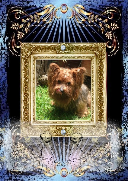 luzcas1106 uploaded   86  day/s  ago