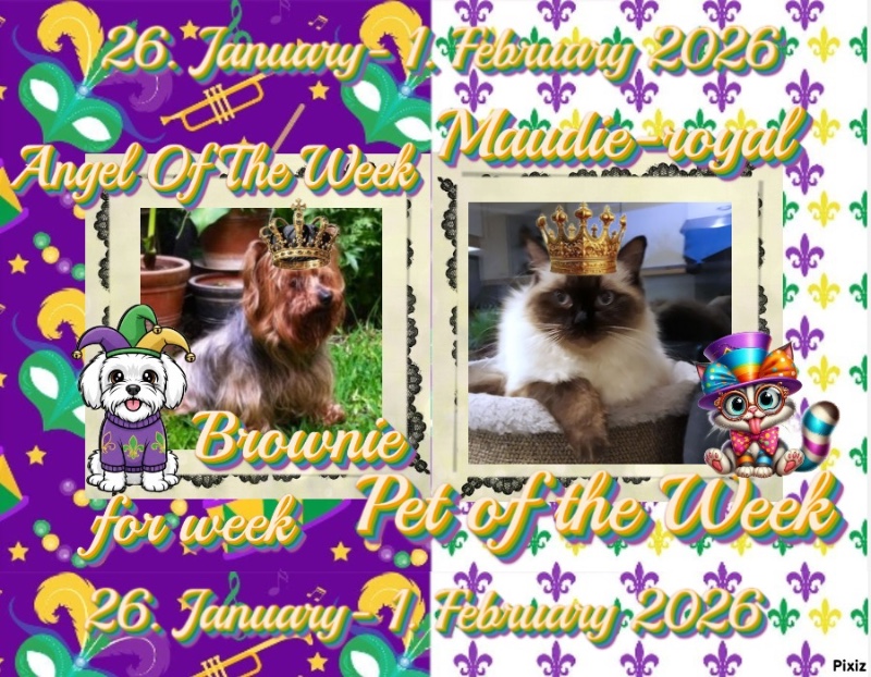 luzcas1106 uploaded   92  day/s  ago