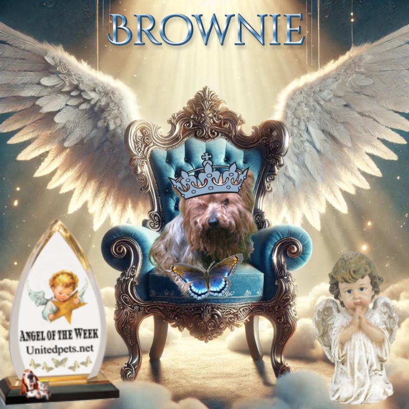 luzcas1106 uploaded   86  day/s  ago