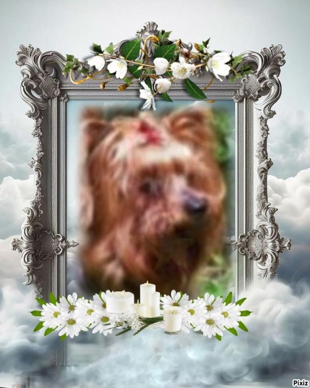 luzcas1106 uploaded   90  day/s  ago