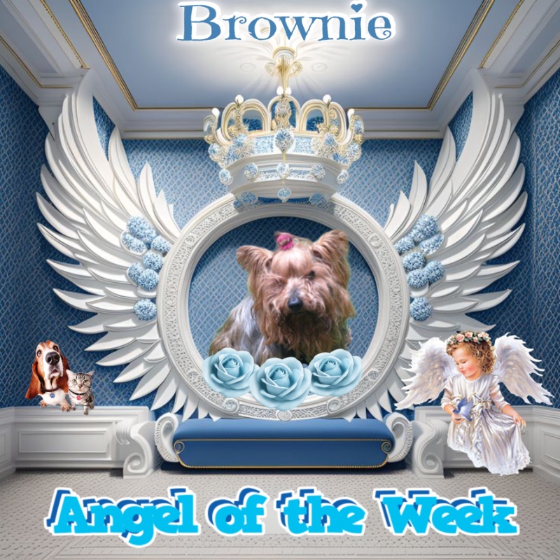 luzcas1106 uploaded   92  day/s  ago