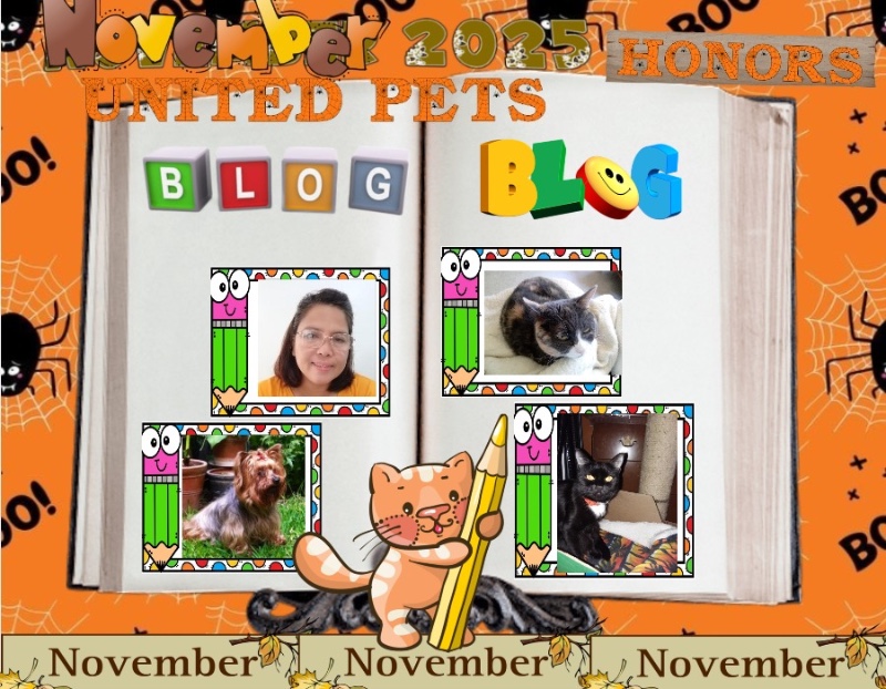 Brownie of the luzcas1106 family