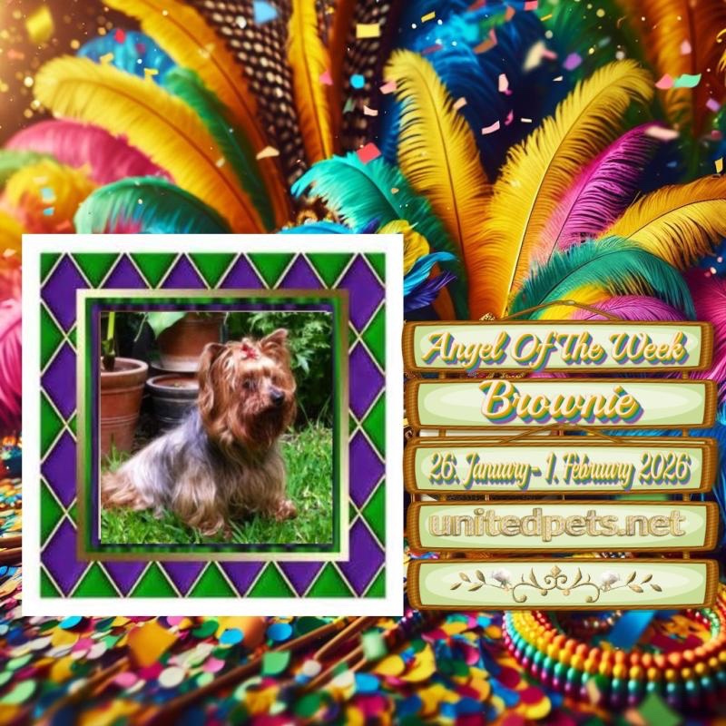 luzcas1106 uploaded   92  day/s  ago