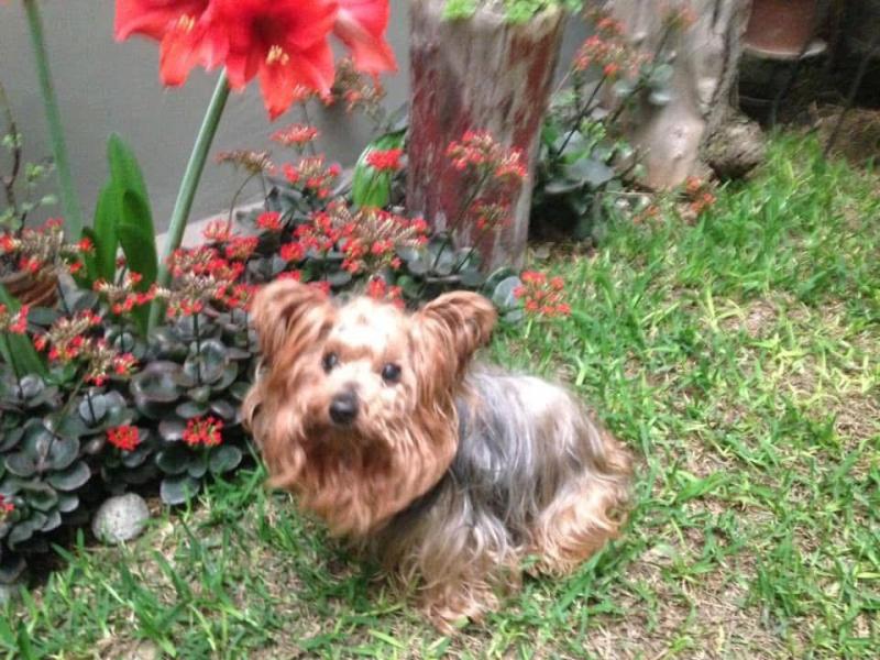 luzcas1106 uploaded   184  day/s  ago