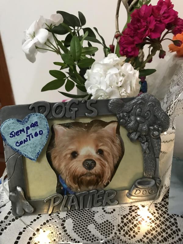 luzcas1106 uploaded   178  day/s  ago