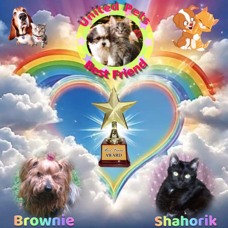 Brownie of the luzcas1106 family