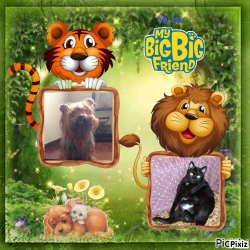 Brownie of the luzcas1106 family