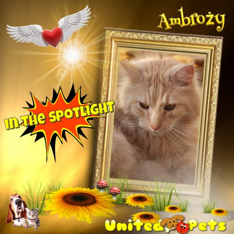 Ambrozky of the marianka family