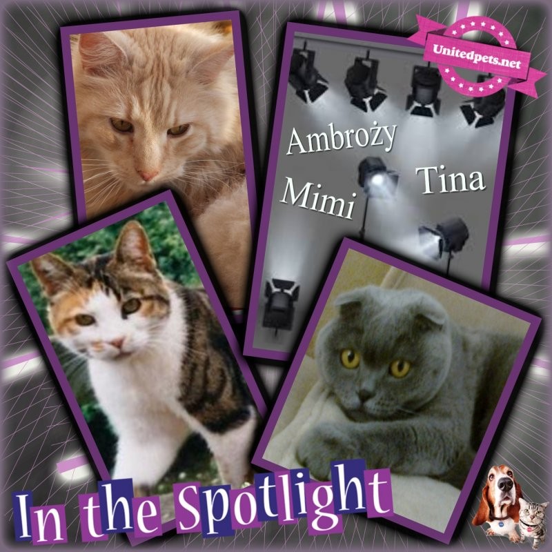 Ambrozky of the marianka family