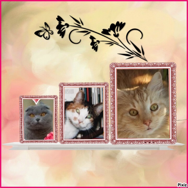 Ambrozky of the marianka family