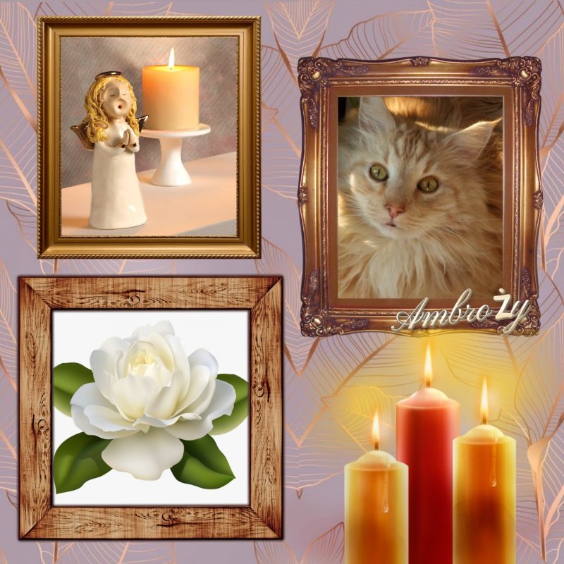 Ambrozky of the marianka family