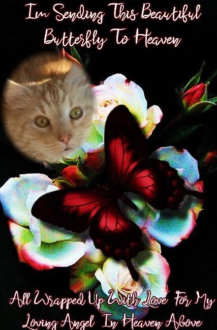 Ambrozky of the marianka family