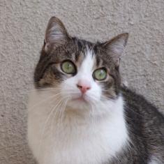 Bazylek of the marianka family