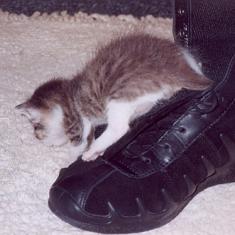 Bazylek of the marianka family