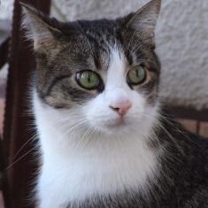 Bazylek of the marianka family