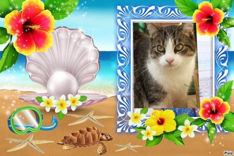 Bazylek of the marianka family