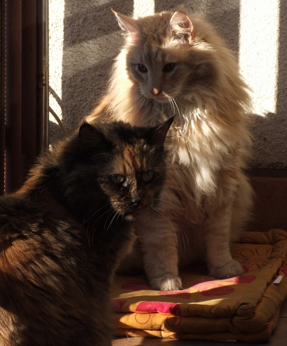 marianka uploaded   6 year/s ago