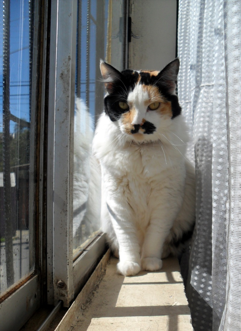 moka1961 uploaded   8 year/s ago