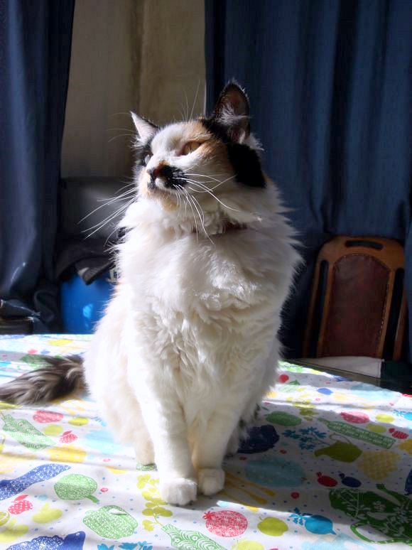 moka1961 uploaded   11 year/s ago