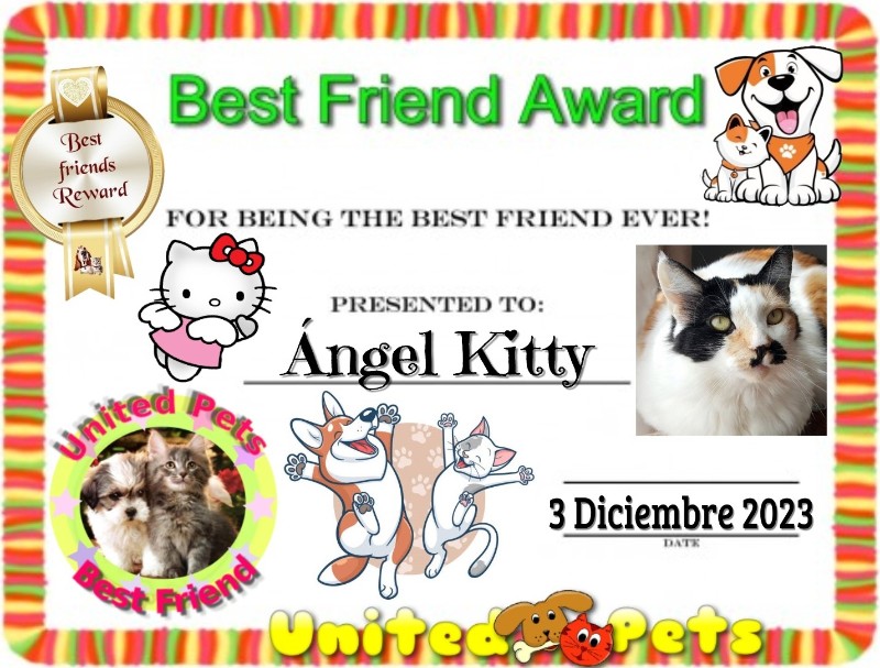 Kitty of the moka1961 family