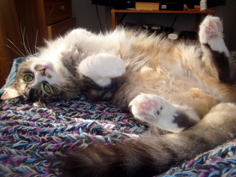 moka1961 uploaded   9 year/s ago