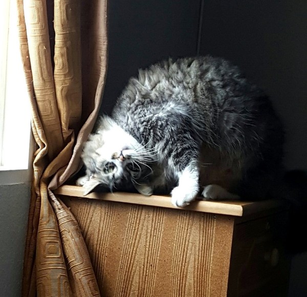 moka1961 uploaded   8 year/s ago