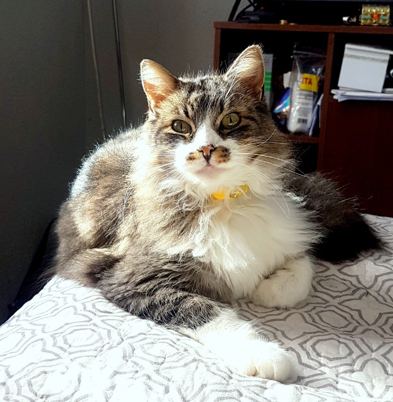 moka1961 uploaded   4 year/s ago