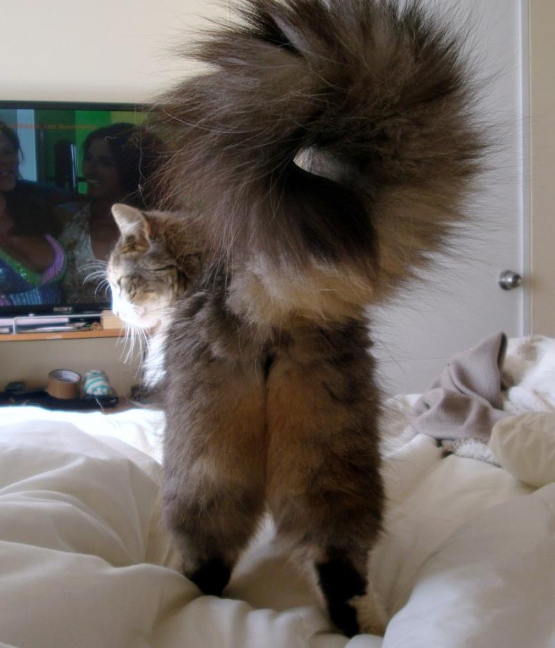 moka1961 uploaded   9 year/s ago