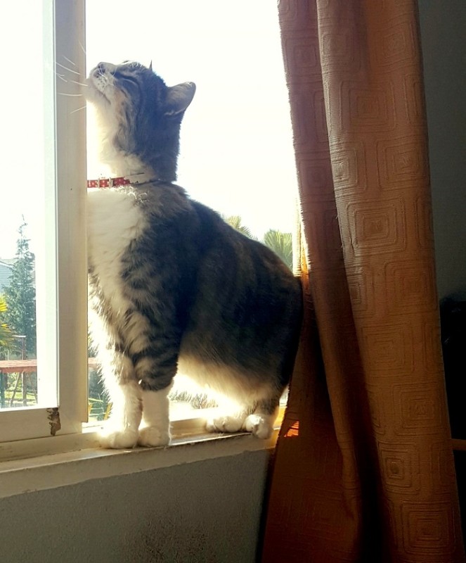 moka1961 uploaded   2 year/s ago