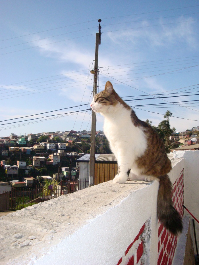 moka1961 uploaded   10 year/s ago