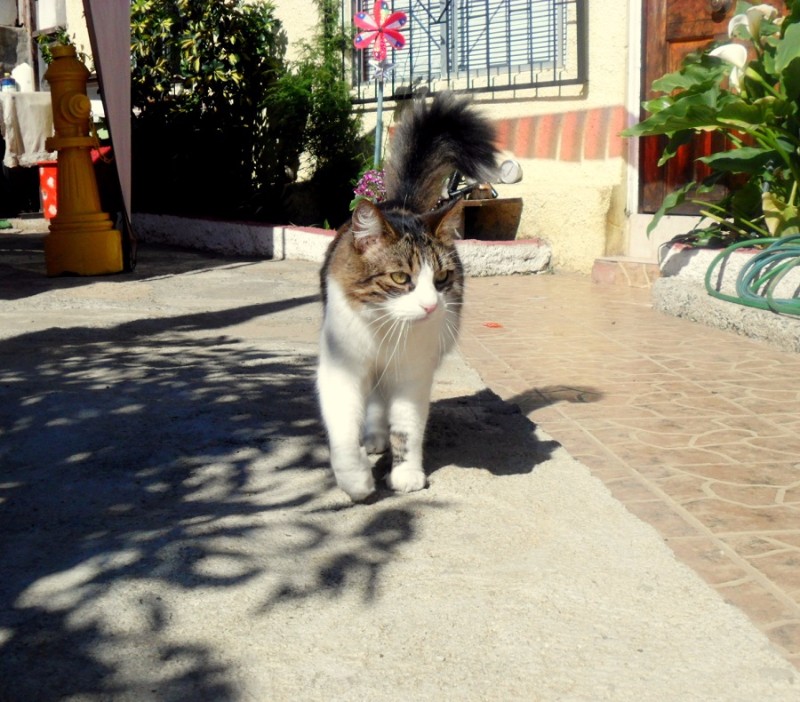 moka1961 uploaded   8 year/s ago