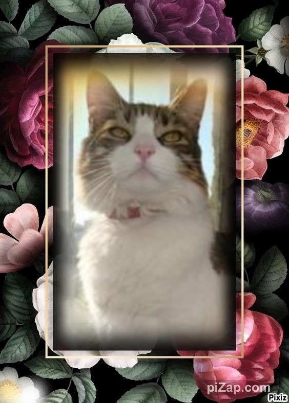 moka1961 uploaded   2 year/s ago