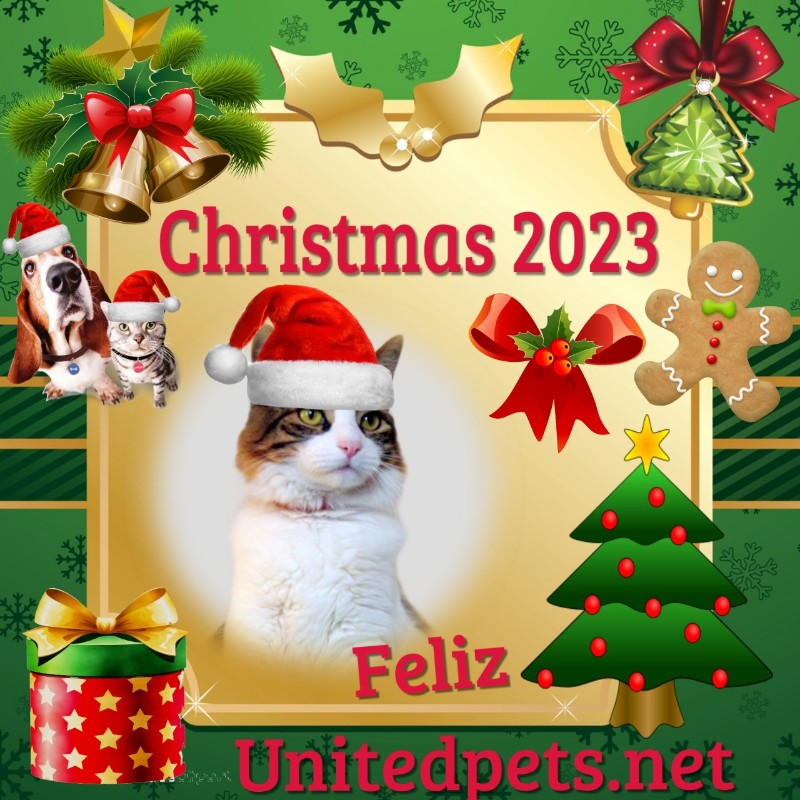 Feliz of the moka1961 family