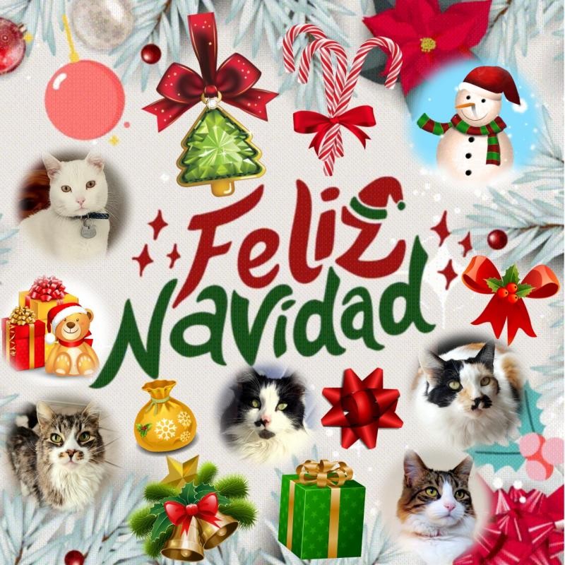 Feliz of the moka1961 family