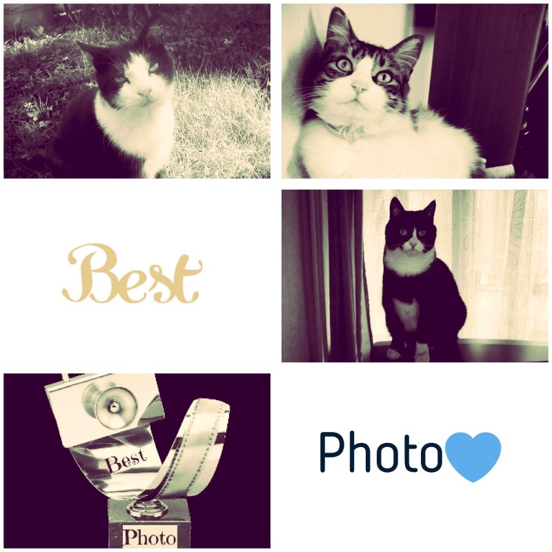 Feliz of the moka1961 family