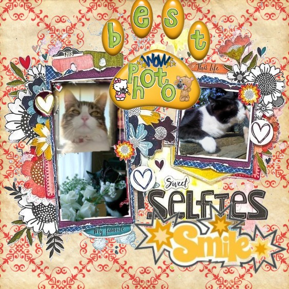 Feliz of the moka1961 family