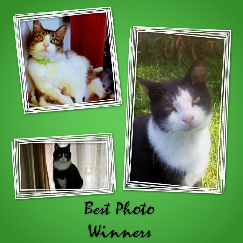 Feliz of the moka1961 family