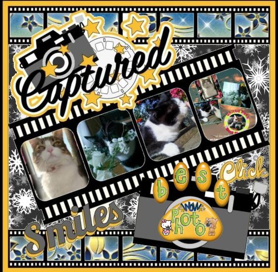 Feliz of the moka1961 family