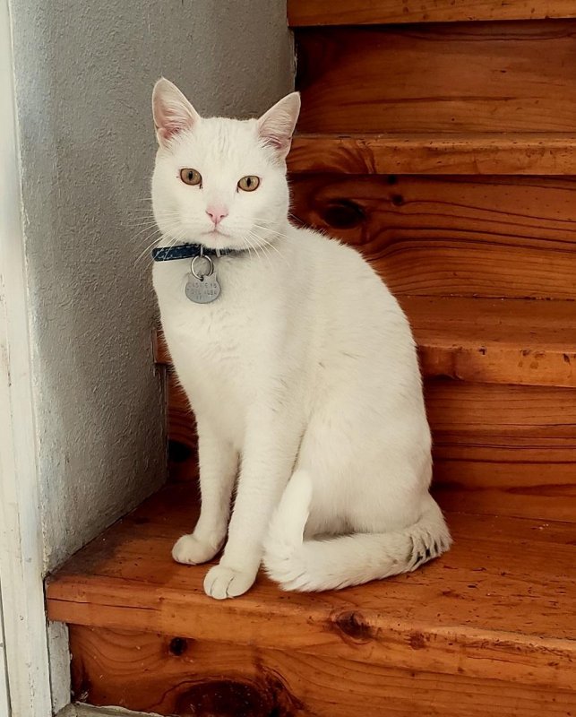 moka1961 uploaded   5 year/s ago