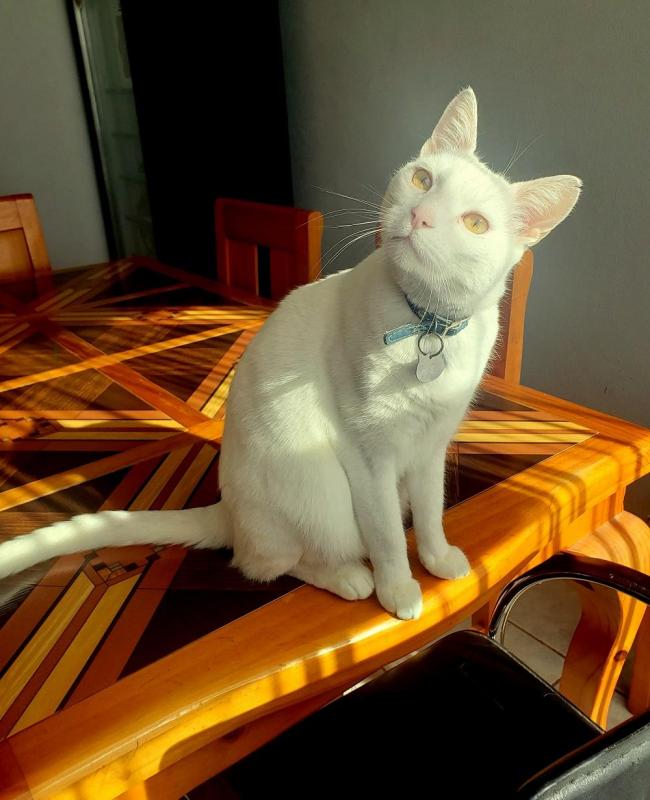 moka1961 uploaded   3 year/s ago