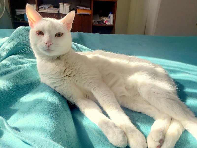 moka1961 uploaded   3 year/s ago