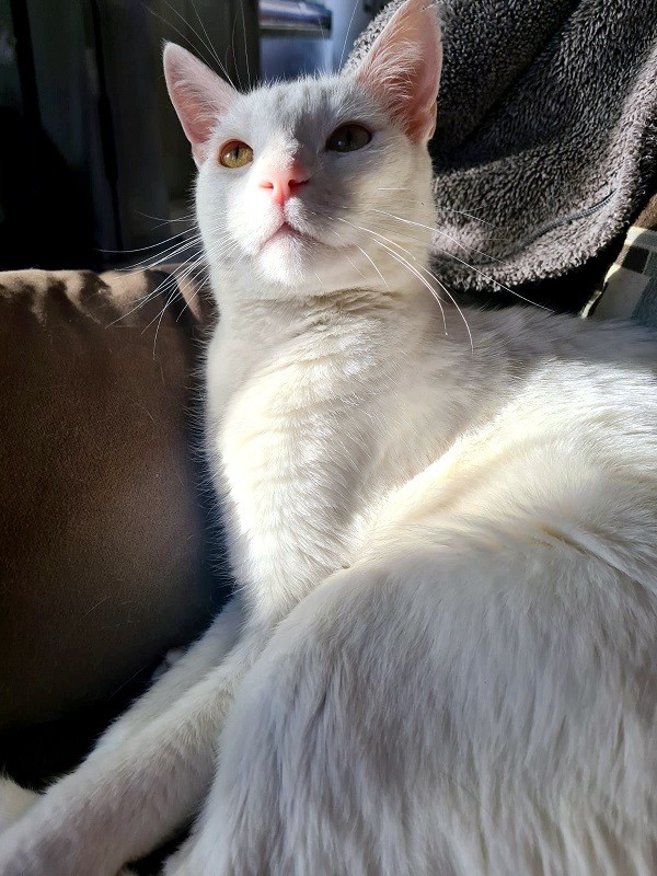 moka1961 uploaded   2 year/s ago