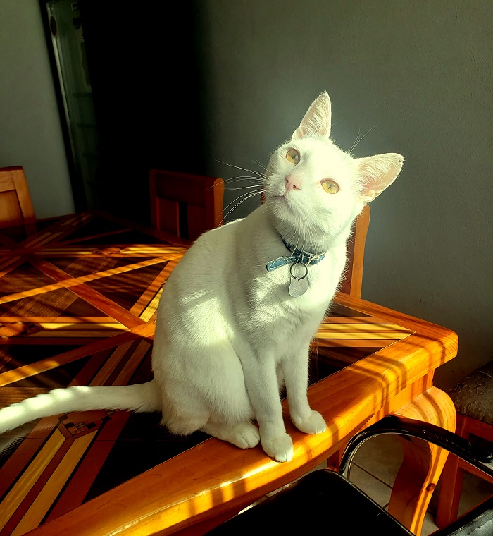 moka1961 uploaded   2 year/s ago