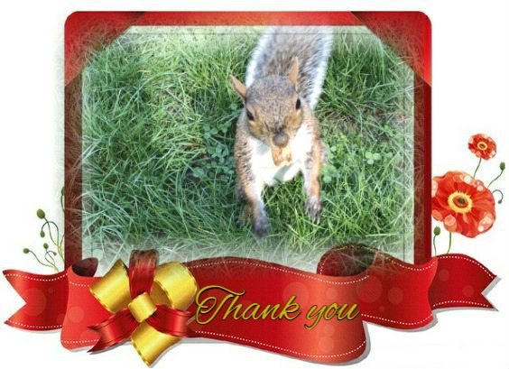 Bambi of the moka1961 family