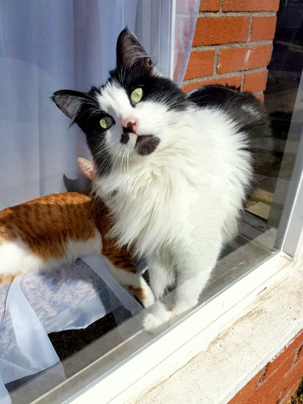 moka1961 uploaded   6 year/s ago