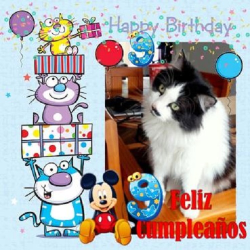 Yerry of the moka1961 family