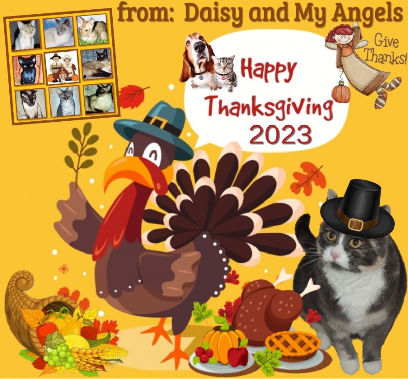 Yerry of the moka1961 family