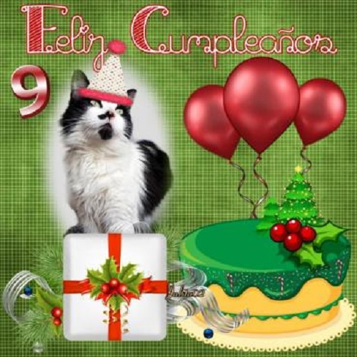 Yerry of the moka1961 family